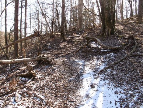 20181214hike (199)